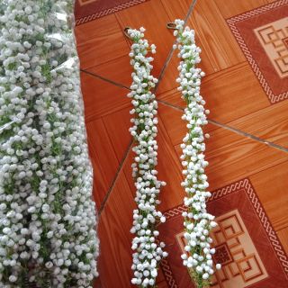 Com bo 20 hoa đội đầu babi