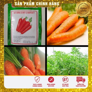 Hạt Giống Cà Rốt Nhật F1(100 hạt)