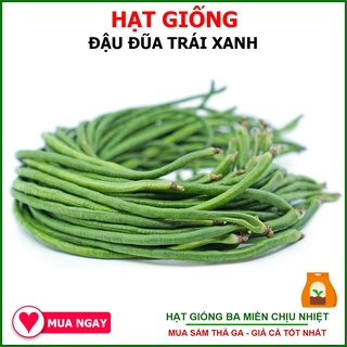 Hạt Giống Đậu Đũa Trái Xanh Trang Nông