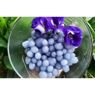 Trân Châu Tươi Hoa Đậu Biếc