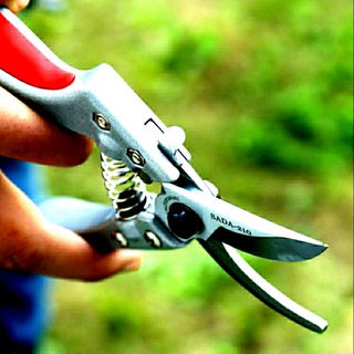 Kéo cắt cành sada 210