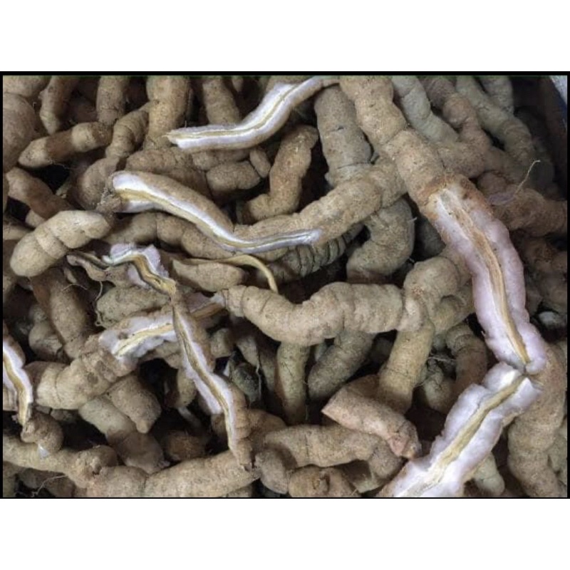 BA KÍCH TÍM TƯƠI BỎ LÕI HÚT CHÂN KHÔNG 1KG