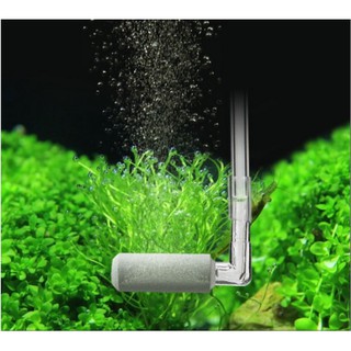 Combo sủi mịn Co2 chữ L ( bao gồm 1 chống gập dài, dây sủi CO2 , đầu sủi Co2 )