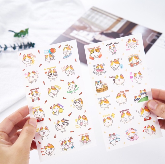 Sticker Set 6 Tấm Mèo Dễ Thương Mèo May Mắn