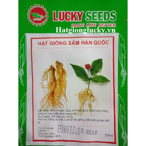 Hạt Giống Nhân Sâm Hàn Quốc -LUCKY SEED (Túi 5 Hạt)