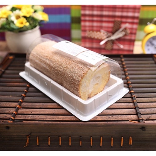 Hộp Nhựa Chữ Nhật đựng bánh bông lan cuộn H19