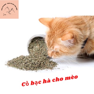 Cỏ bạc hà cho mèo - Cỏ mèo Catnip (ống 10g)