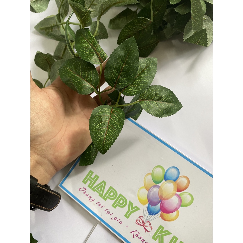 Dây Lá Táo, Dây Lá Olive, Dây Bạch Đàn Decor Trang Trí Sinh Nhật, Sự Kiện, Khai Trương, Phòng Cưới