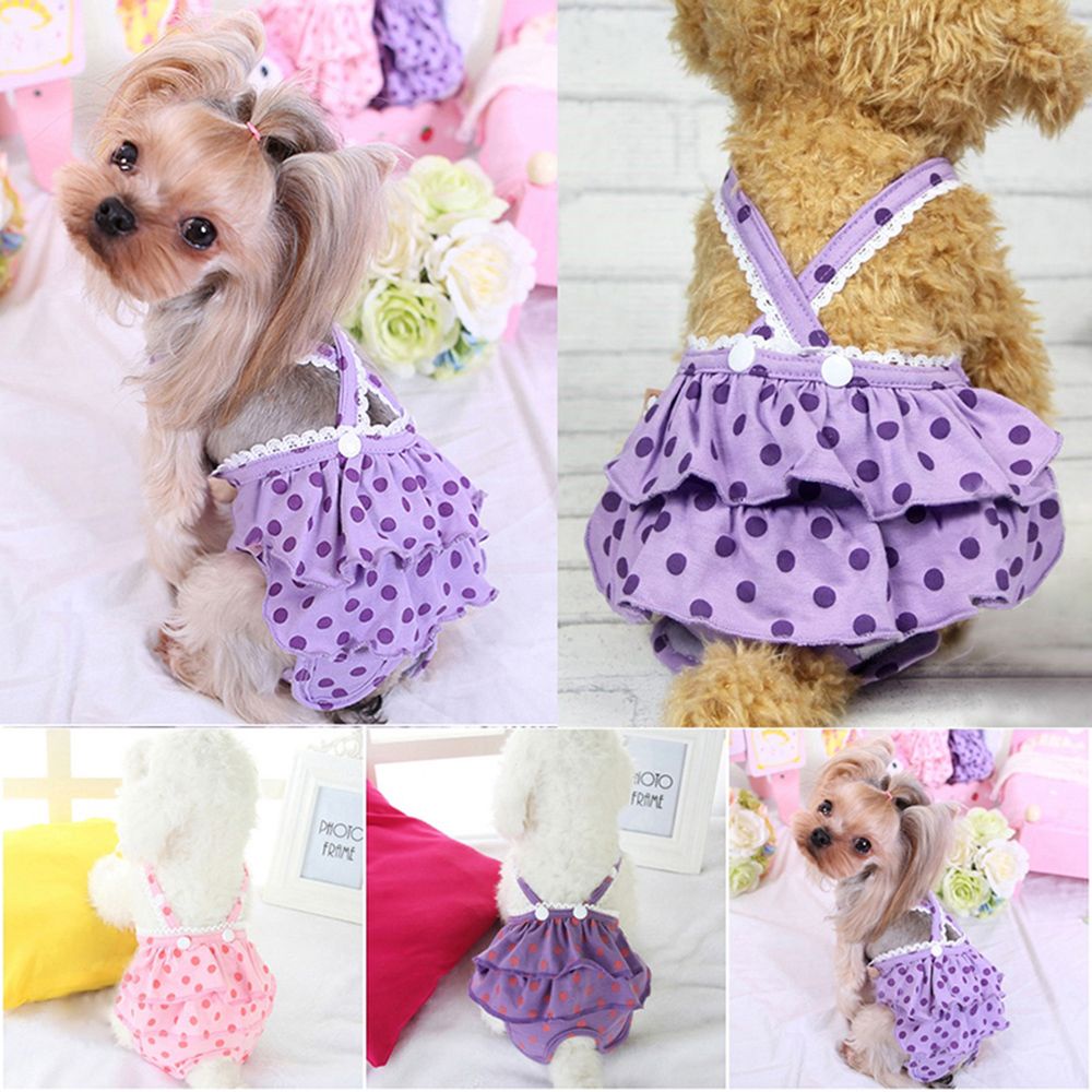 Quần lót sinh lý bằng cotton tùy chỉnh nhiều màu dành cho chó cưng