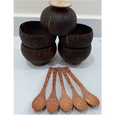 Chén/Bát gáo dừa + Muỗng gỗ dừa
