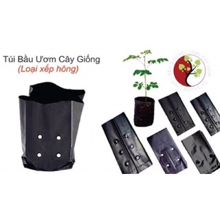 Túi bầu ươm cây giống khối lượng 1kg