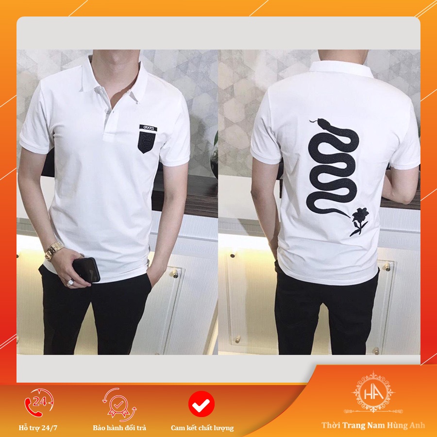 Áo thun nam có cổ tay ngắn polo cotton co dãn 4 chiều thêu kiểu BBR vải dày đẹp mẫu mới cao cấp