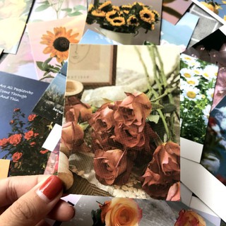 Postcard phong cảnh 10 tấm (006)