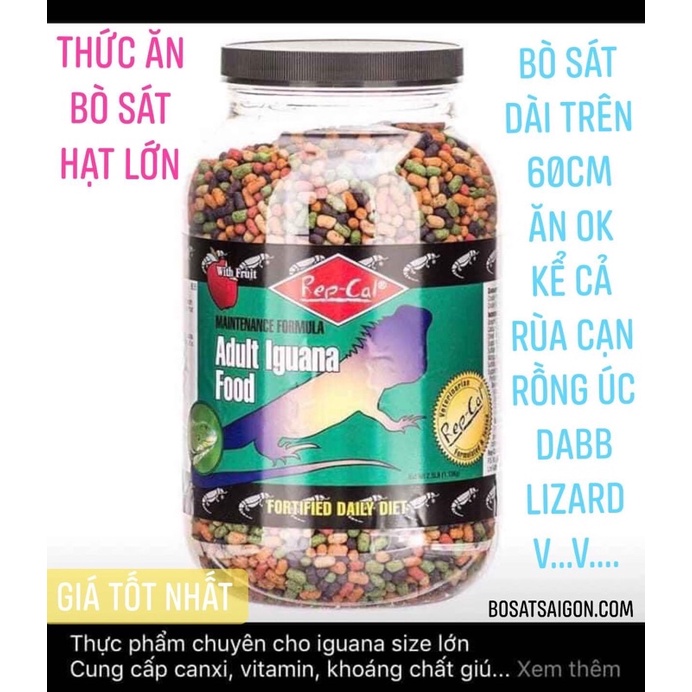 REPCAL ALDULT THỨC ĂN VIÊN IGUANA HẠT LỚN HỦ NGUYÊN