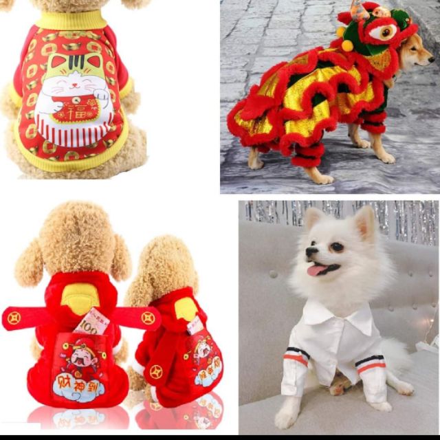 Quần áo thú cưng ptn