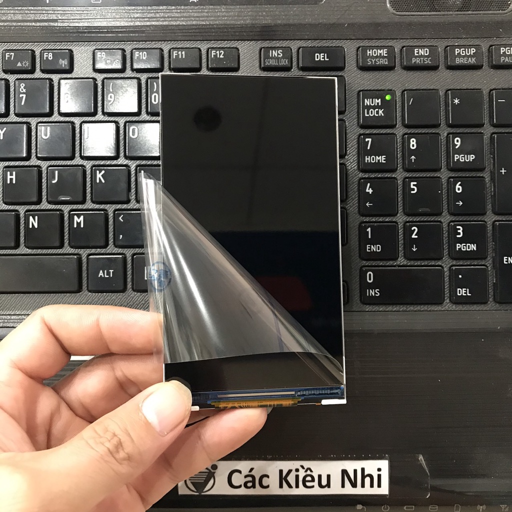 Màn hình	Itel	P15 | W5005P	LCD rời | BigBuy360 - bigbuy360.vn