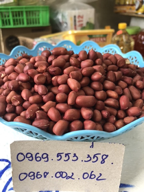 [FREESHIP - GIÁ SỈ] 500G LẠC ĐỎ - LẠC VÀNG QUÊ NGHỆ AN