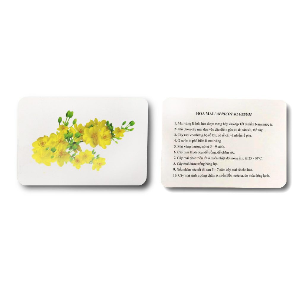 Flashcard GDkids Thế Giới Xung Quanh - Bộ Thẻ Học Thông Minh Cho Bé 100 Thẻ ( 0-6 Tuổi )