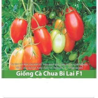 Hạt Giống Cà Chua Bi F1 - Dễ Trồng, Dinh Dưỡng Cao
