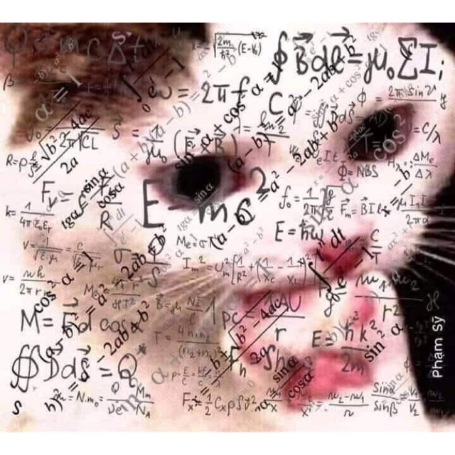 Set tranh decor fb cỏ house