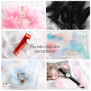 Lông vũ nhiều màu trang trí chụp ảnh