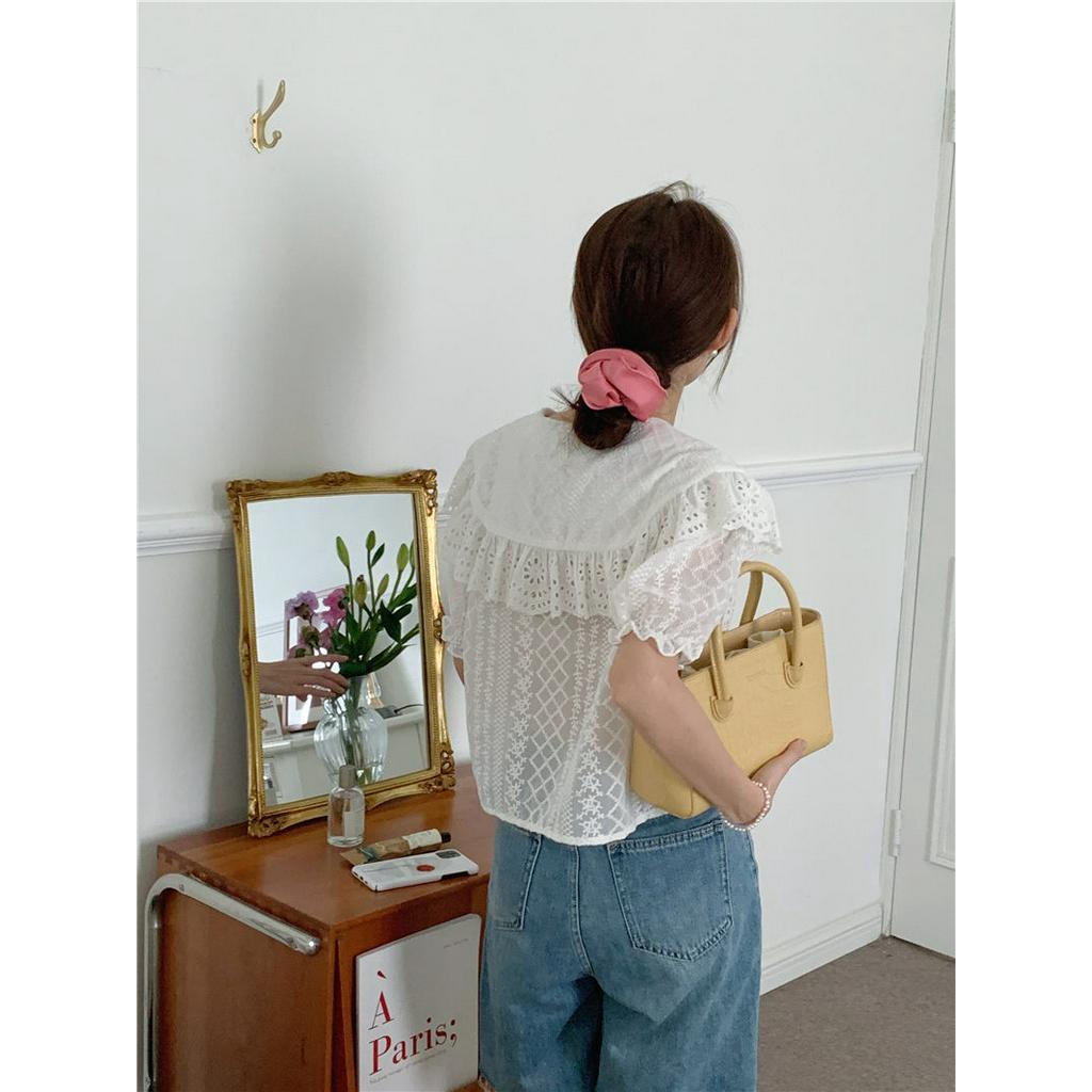 Áo Sơ Mi Ngắn Thêu Hoa Tinh Tế 52758