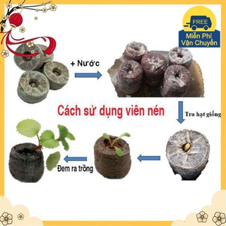 Combo 100 Viên Nén Ươm Hạt Đảm Bảo Cho Hạt Nảy Mầm 99%