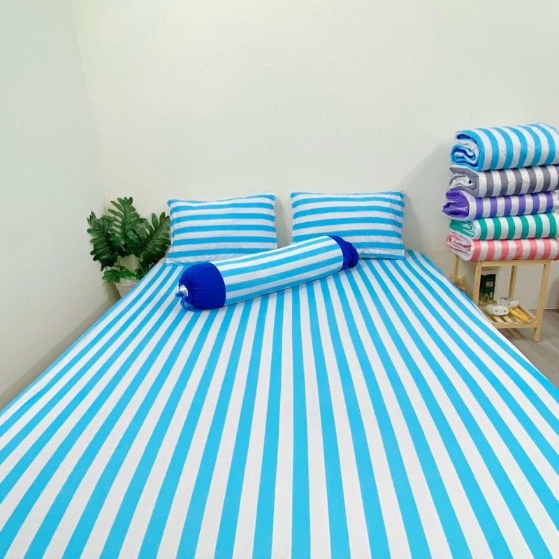 Bộ ga và vỏ gối thun Hàn mẫu sọc