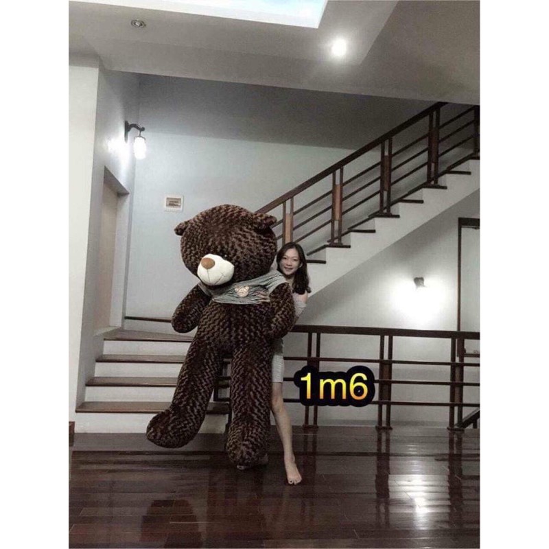 [Mã LIFEXANH03 giảm 10% đơn 500K] ✨XẢ LỖ✨ Gấu Bông Teddy Gấu Brown Khổng Lồ