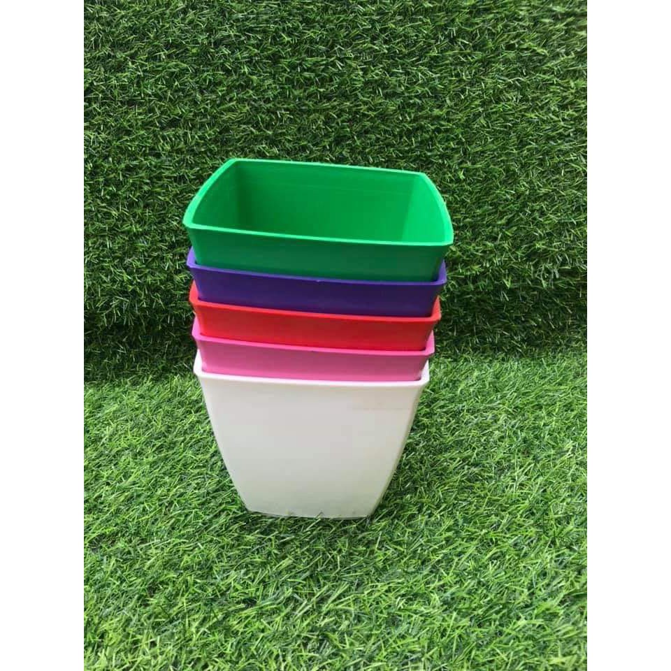 Chậu vuông trồng sen đá cây cảnh 9x9cm