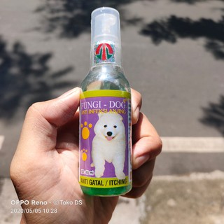 Bình xịt phun sương cho thú cưng 60ml