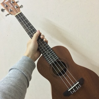 ĐÀN UKULELE CONCERT SYN