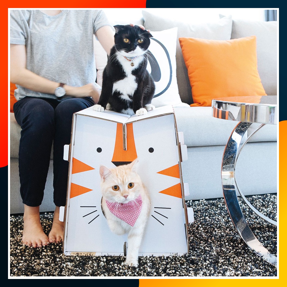 Nhà Giấy Cho Mèo Kèm Cào Móng Mèo