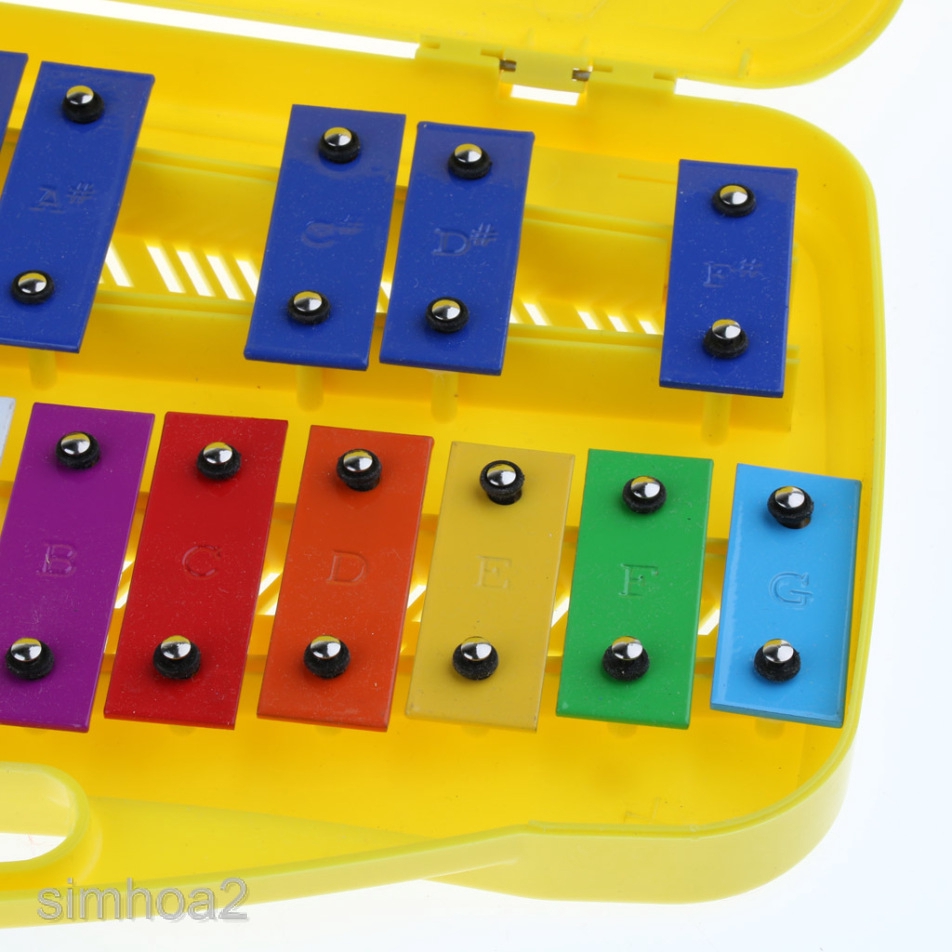 Colorful 25 Tones Xylophone with Case for Kids Musical Toy Christmas Gift