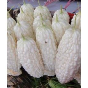 Hạt Giống Khổ Qua Bạch Tuyết Siêu Qủa  - MUA 3 TẶNG 1 CÙNG LOẠI