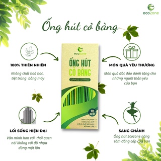 [Bảo hành ẩm mốc] Hộp 100 ống hút size 20cm cỏ bàng khô Ecozone dùng cho trà, nước quả, sinh tố, smothies - hàng XK