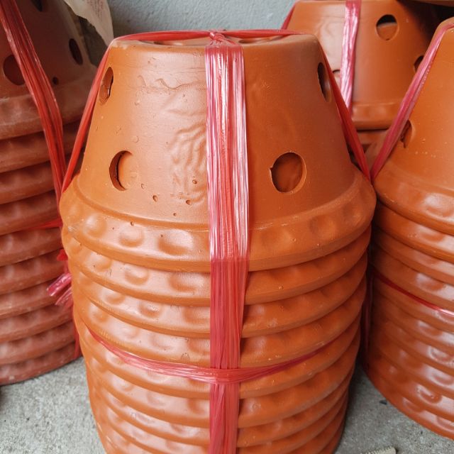 Chậu đất nung trồng lan size 15 -25cm