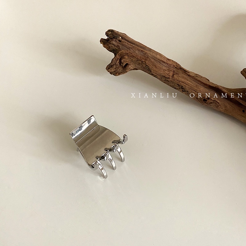 High ponytail hairpin Korean version temperament metal small shark clip hairpin net red new jewelry