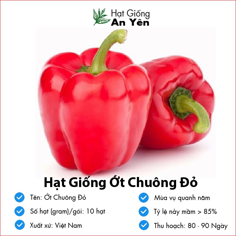 Hạt giống Ớt Chuông ( Ớt Đà Lạt ) thu hoạch sớm, dễ trồng, nảy mầm cao, sinh trưởng khoẻ