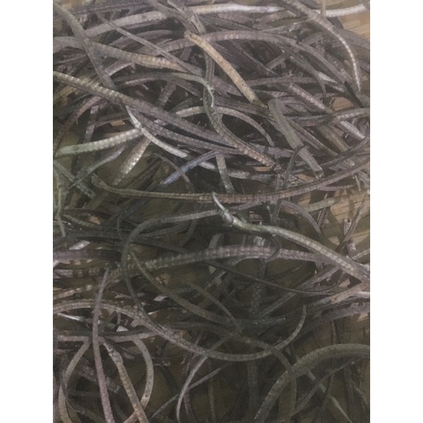 Combo 10 con cá hải xà