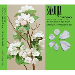 Khuôn silicone vân hoa Đào Sakura