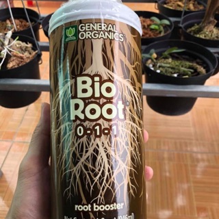 Phân bón hữu cơ bio root