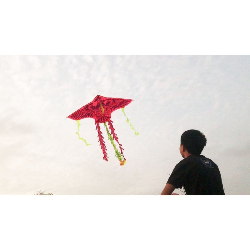 Đồ chơi diều cá,công,phượng kèm dây dù 5m