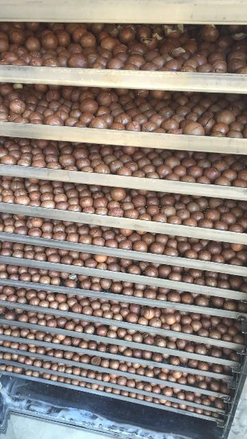 1kg hạt Macca daklak size to (22-26) đã sấy nứt ăn ngay (2 túi 500g) | BigBuy360 - bigbuy360.vn