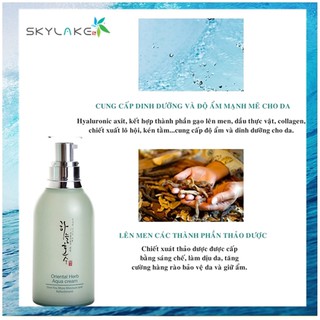 Kem dưỡng da Skylake Oriental Herb Cream 50ml
