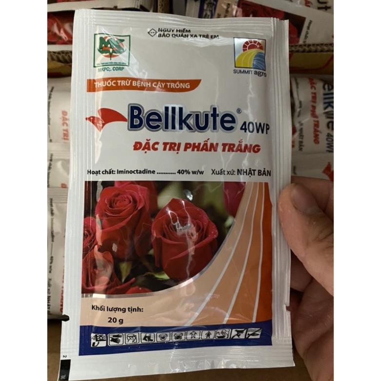 Bellkute 40wp gói 20gr đặc trị phấn trắng Hoa Hồng &amp; Dưa Bầu Bí