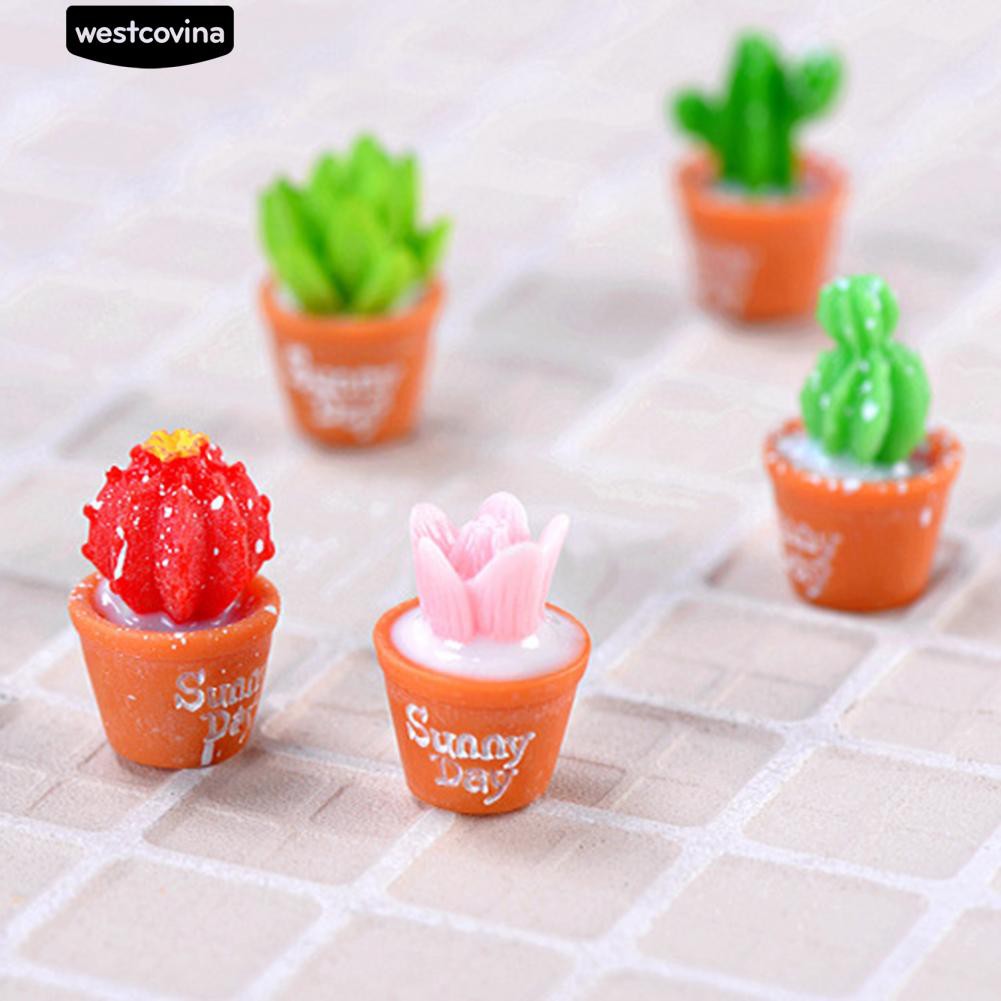 Bộ 2 mô hình cây sương rồng xinh xắn