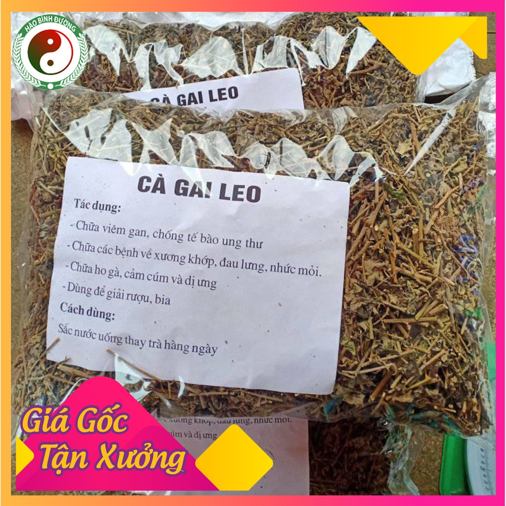 [1kg] Cà Gai Leo Khô Loại 1 Giúp Tiêu U Biếu Giải Độc Cơ Thể