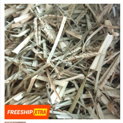 CỎ MẦN TRẦU 100gr thơm ngon, chuẩn loại 1