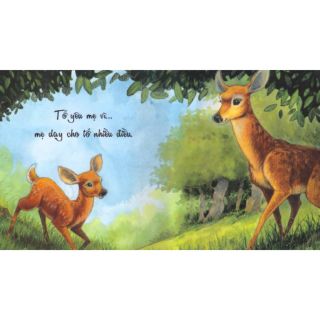 VÌ SAO TỚ YÊU (Bộ 4 Cuốn)